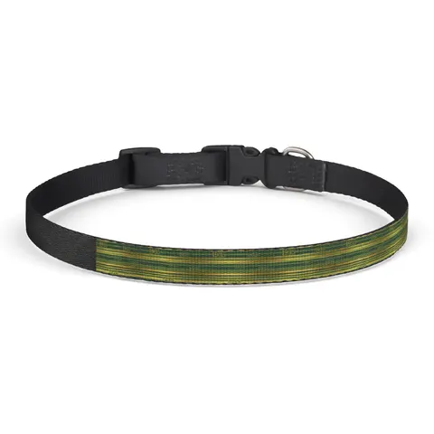 Norfolk State 1935 Green & Gold Clip-on Pet Collar — front view