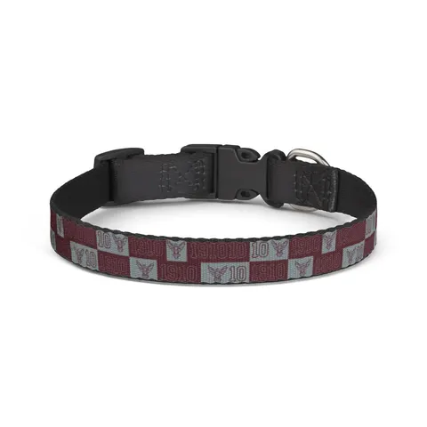 NC Central 1910 Maroon & Grey Clip-on Pet Collar — front view
