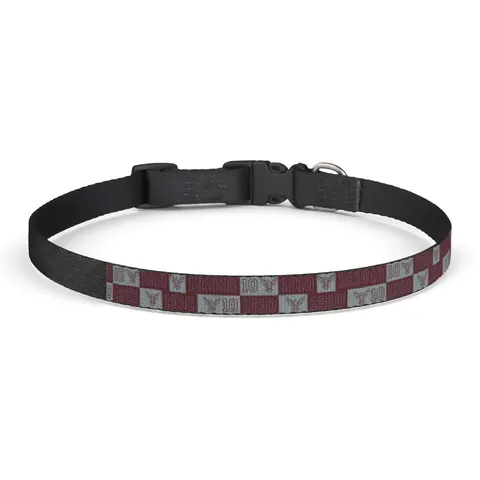 NC Central 1910 Maroon & Grey Clip-on Pet Collar — front view