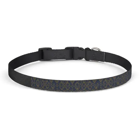 Oakwood 1896 Blue & Gold Clip-on Pet Collar — front view