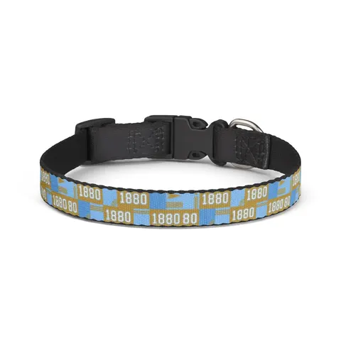 Southern 1880 Blue & Gold Block Clip-on Pet Collar — front view