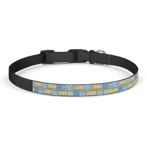 Southern 1880 Blue & Gold Block Clip-on Pet Collar — front view