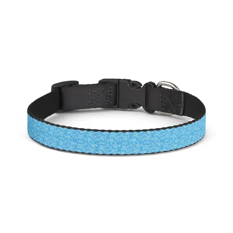 Spelman 1881 Sky Blue Elegance Clip-on Pet Collar — front view