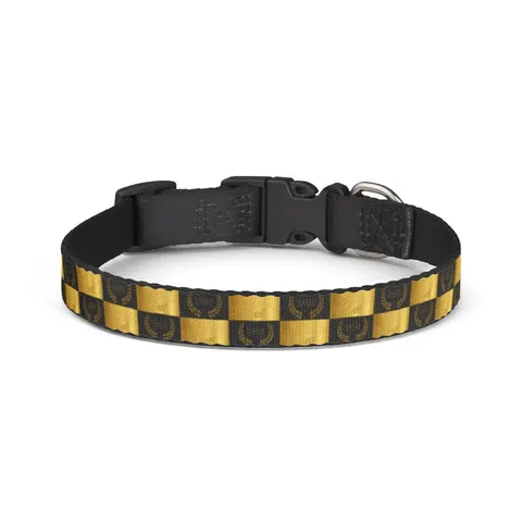 West Virginia State 1891 Black & Gold Clip-on Pet Collar — front view