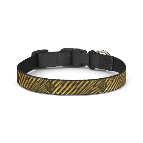 Xavier 1915 Gold & Black Clip-on Pet Collar — front view