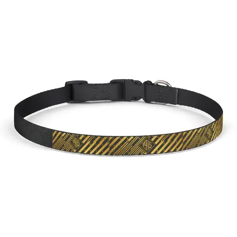 Xavier 1915 Gold & Black Clip-on Pet Collar — front view