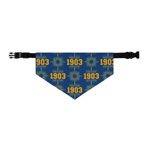 Albany State 1903 Blue & Gold Sunburst Pet Bandana Collar — other view