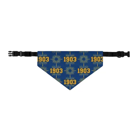 Albany State 1903 Blue & Gold Sunburst Pet Bandana Collar — other view