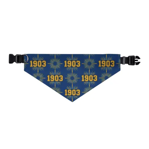 Albany State 1903 Blue & Gold Sunburst Pet Bandana Collar — other view
