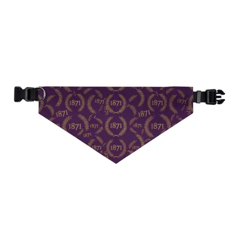 Alcorn 1871 Purple & Gold Academic Pet Bandana Collar — other view
