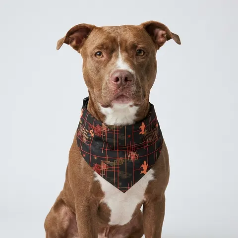 Atlanta Zone 6 Neon Pet Bandana Collar