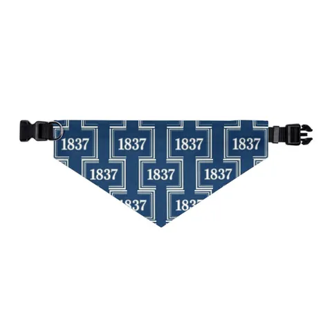 Cheyney 1837 Blue & White Pet Bandana Collar — other view