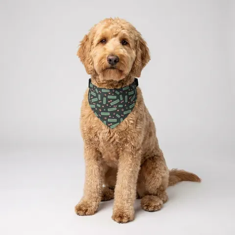 Atlanta Peachtree Signs Pet Bandana Collar