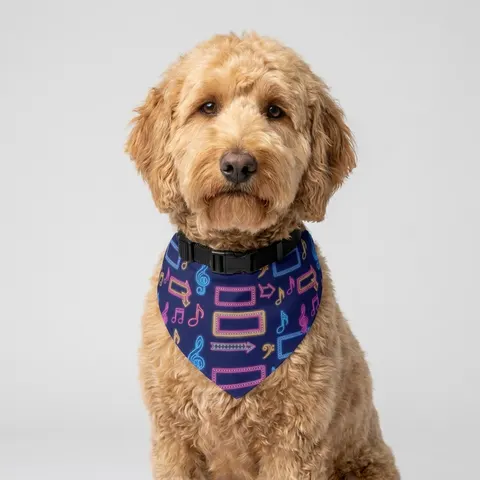 Detroit Motown Neon Pet Bandana Collar