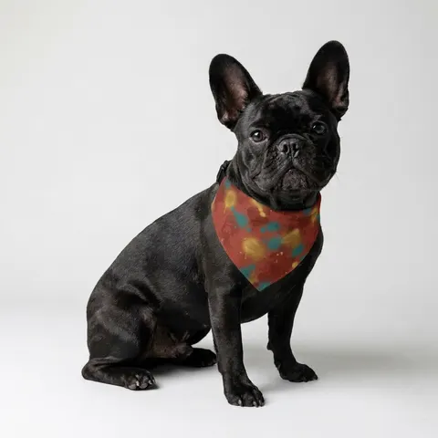 Houston Third Ward Brick Pet Bandana Collar