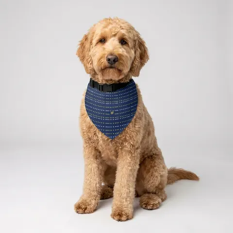Inglewood Runway Lights Pet Bandana Collar