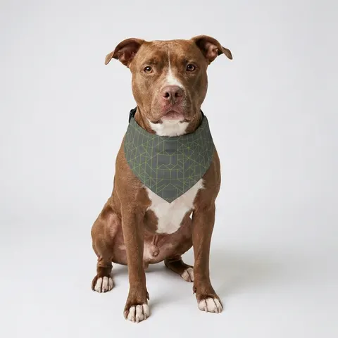 Oakland The Town Grid Pet Bandana Collar