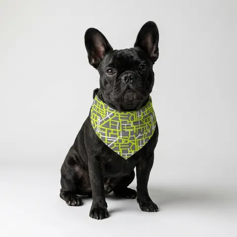 Queens South Jamaica Grid Pet Bandana Collar
