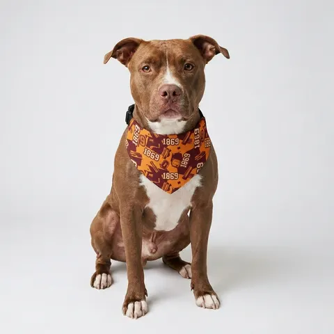 Pet Bandana Collar