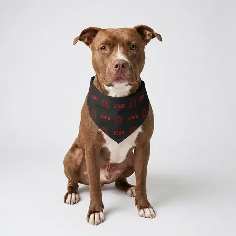 Clark Atlanta 1988 Black & Red Arch Pet Bandana Collar