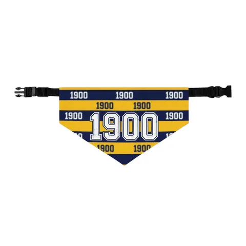 Coppin State 1900 Blue & Yellow Pet Bandana Collar — other view