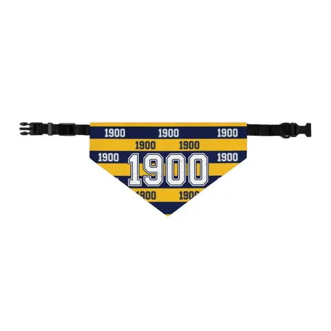Coppin State 1900 Blue & Yellow Pet Bandana Collar — other view