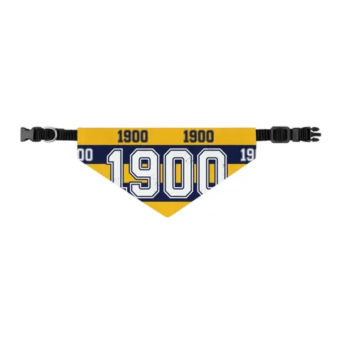 Coppin State 1900 Blue & Yellow Pet Bandana Collar — other view