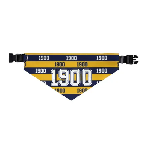 Coppin State 1900 Blue & Yellow Pet Bandana Collar — other view
