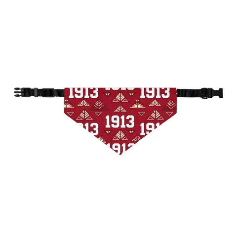 Delta 1913 Crimson Stamp Pet Bandana Collar — other view