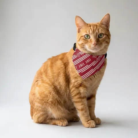 Kappa 1911 Cane Lines Pet Bandana Collar