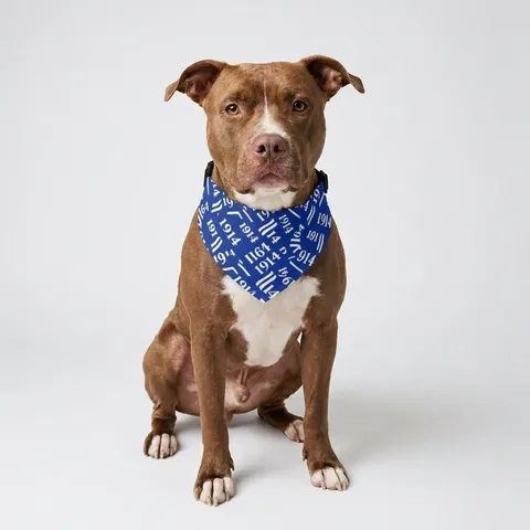 Sigma 1914 Royal Blue & White Pet Bandana Collar