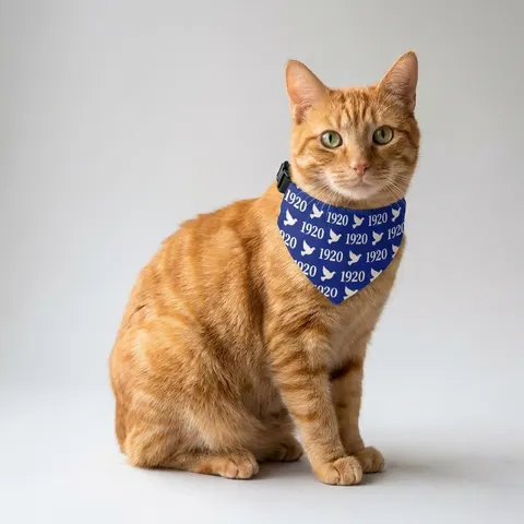Zeta 1920 Royal Blue & White Pet Bandana Collar