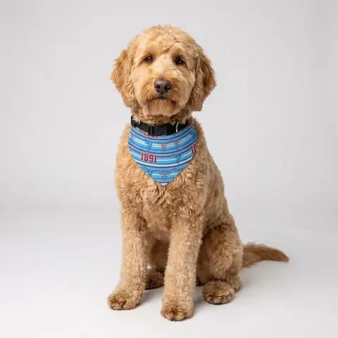 Pet Bandana Collar