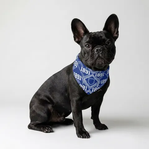 Pet Bandana Collar