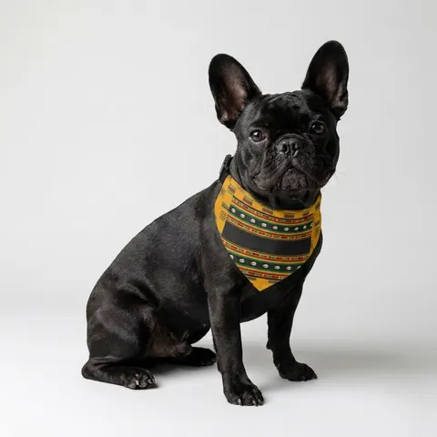 Faith Flag Afro-Spiritual Cowrie & Kente Pet Bandana Collar