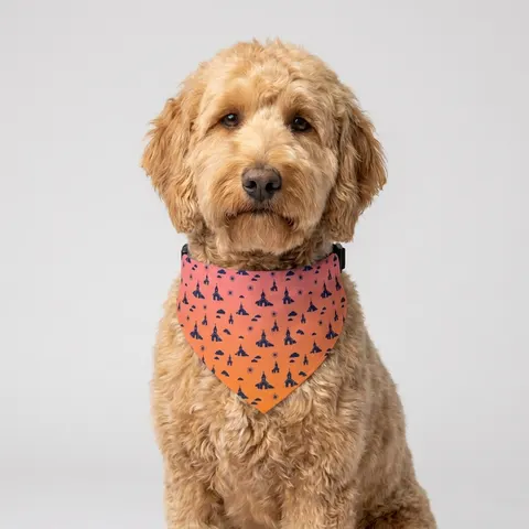 Faith Flag Black Church Sunrise Pet Bandana Collar