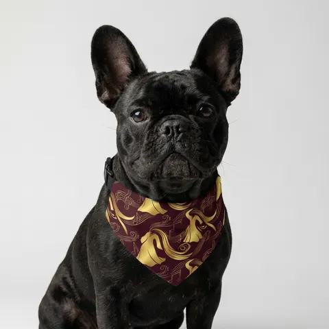 Faith Flag Gospel Choir Robes Pet Bandana Collar