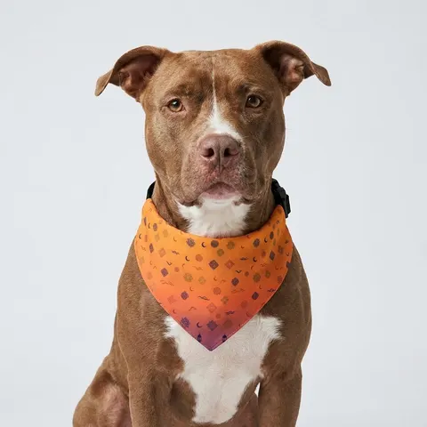 Faith Flag Mosque Sunset Silhouette Pet Bandana Collar