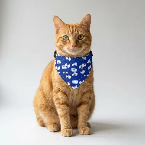 Faith Flag Blue & White Star Emblem Pet Bandana Collar