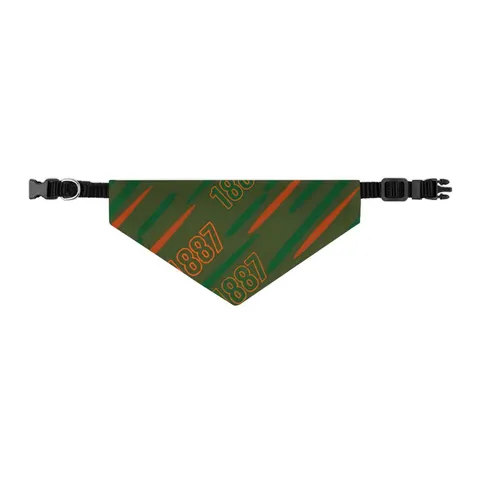 FAMU 1887 Orange & Green Energy Pet Bandana Collar — other view