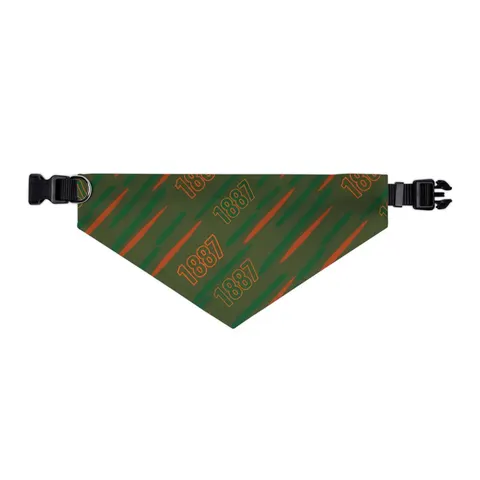 FAMU 1887 Orange & Green Energy Pet Bandana Collar — other view