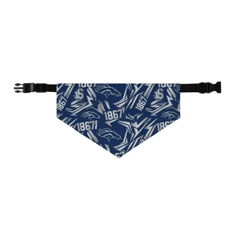 Fayetteville State 1867 Blue & Silver Pet Bandana Collar — other view