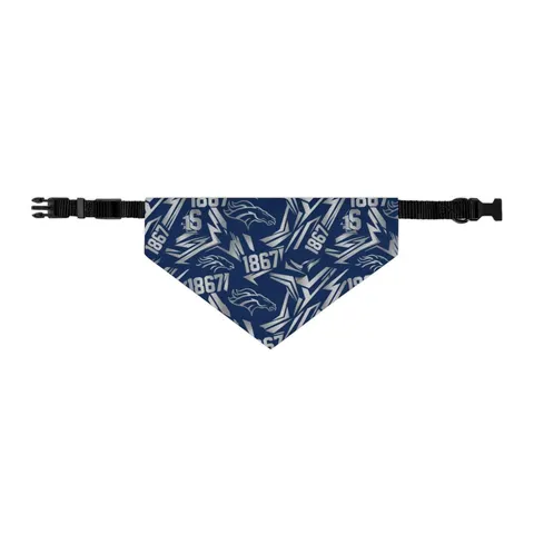 Fayetteville State 1867 Blue & Silver Pet Bandana Collar — other view