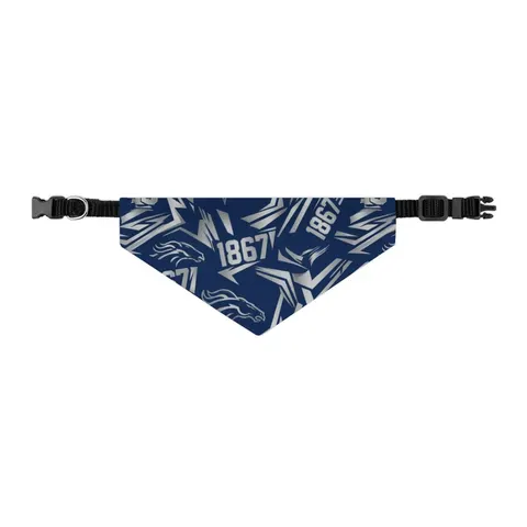 Fayetteville State 1867 Blue & Silver Pet Bandana Collar — other view