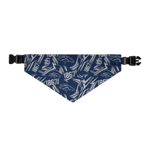 Fayetteville State 1867 Blue & Silver Pet Bandana Collar — other view