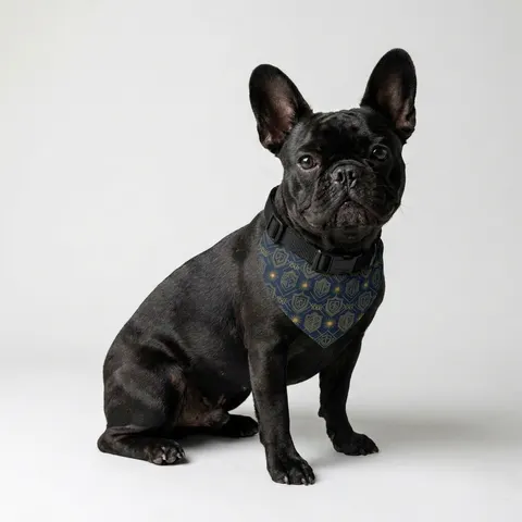 Pet Bandana Collar