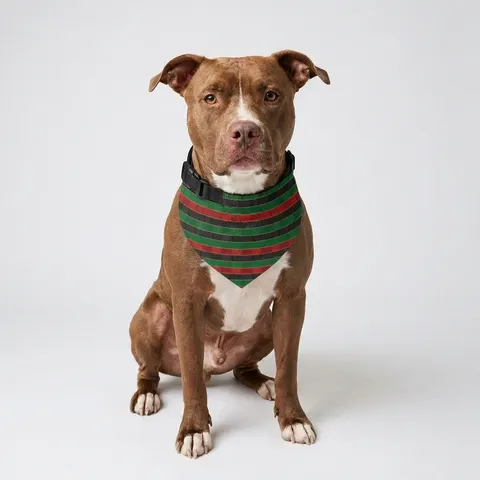 African Diaspora Continent Outline Pet Bandana Collar