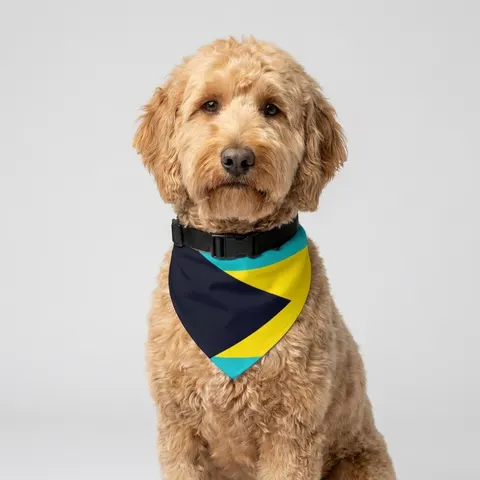 Bahamas Aqua Triangle Pet Bandana Collar