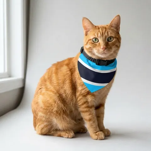 Botswana Blue & Black Stripe Pet Bandana Collar