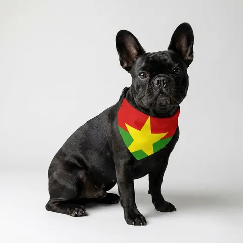 Burkina Faso Red Green Star Pet Bandana Collar